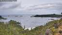 ./images/calvert/foggy-cove/20260929/foggy-cove20260929_082502M.jpg