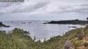 ./images/calvert/foggy-cove/20260929/foggy-cove20260929_083002M.jpg