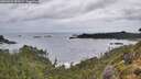 ./images/calvert/foggy-cove/20260929/foggy-cove20260929_083501M.jpg