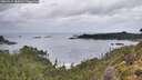 ./images/calvert/foggy-cove/20260929/foggy-cove20260929_084502M.jpg