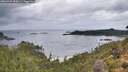 ./images/calvert/foggy-cove/20260929/foggy-cove20260929_085001M.jpg