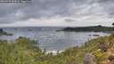 ./images/calvert/foggy-cove/20260929/foggy-cove20260929_090001M.jpg