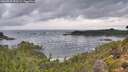 ./images/calvert/foggy-cove/20260929/foggy-cove20260929_090501M.jpg