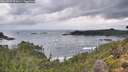 ./images/calvert/foggy-cove/20260929/foggy-cove20260929_091001M.jpg