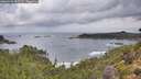 ./images/calvert/foggy-cove/20260929/foggy-cove20260929_091501M.jpg