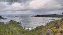 ./images/calvert/foggy-cove/20260929/foggy-cove20260929_092501M.jpg