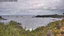 ./images/calvert/foggy-cove/20260929/foggy-cove20260929_094002M.jpg