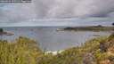 ./images/calvert/foggy-cove/20260929/foggy-cove20260929_100501M.jpg