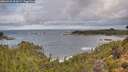 ./images/calvert/foggy-cove/20260929/foggy-cove20260929_101001M.jpg