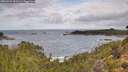 ./images/calvert/foggy-cove/20260929/foggy-cove20260929_102501M.jpg