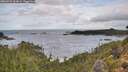 ./images/calvert/foggy-cove/20260929/foggy-cove20260929_103001M.jpg