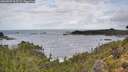 ./images/calvert/foggy-cove/20260929/foggy-cove20260929_103501M.jpg