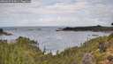 ./images/calvert/foggy-cove/20260929/foggy-cove20260929_104001M.jpg