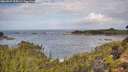 ./images/calvert/foggy-cove/20260929/foggy-cove20260929_105001M.jpg