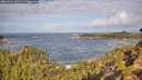 ./images/calvert/foggy-cove/20260929/foggy-cove20260929_105501M.jpg