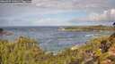 ./images/calvert/foggy-cove/20260929/foggy-cove20260929_110001M.jpg
