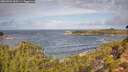./images/calvert/foggy-cove/20260929/foggy-cove20260929_110501M.jpg