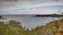 ./images/calvert/foggy-cove/20260929/foggy-cove20260929_111502M.jpg