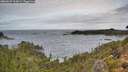 ./images/calvert/foggy-cove/20260929/foggy-cove20260929_113002M.jpg