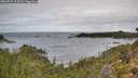 ./images/calvert/foggy-cove/20260929/foggy-cove20260929_113501M.jpg