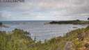 ./images/calvert/foggy-cove/20260929/foggy-cove20260929_114502M.jpg