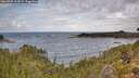 ./images/calvert/foggy-cove/20260929/foggy-cove20260929_115001M.jpg