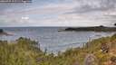 ./images/calvert/foggy-cove/20260929/foggy-cove20260929_115501M.jpg