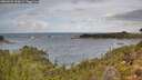 ./images/calvert/foggy-cove/20260929/foggy-cove20260929_120001M.jpg