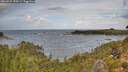 ./images/calvert/foggy-cove/20260929/foggy-cove20260929_120501M.jpg