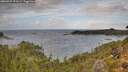 ./images/calvert/foggy-cove/20260929/foggy-cove20260929_121501M.jpg
