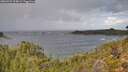 ./images/calvert/foggy-cove/20260929/foggy-cove20260929_125001M.jpg