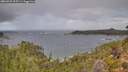 ./images/calvert/foggy-cove/20260929/foggy-cove20260929_125501M.jpg