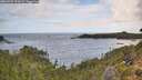 ./images/calvert/foggy-cove/20260929/foggy-cove20260929_131001M.jpg
