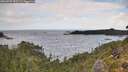 ./images/calvert/foggy-cove/20260929/foggy-cove20260929_131501M.jpg