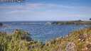 ./images/calvert/foggy-cove/20260929/foggy-cove20260929_134001M.jpg