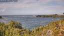 ./images/calvert/foggy-cove/20260929/foggy-cove20260929_135001M.jpg