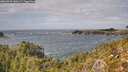 ./images/calvert/foggy-cove/20260929/foggy-cove20260929_140501M.jpg