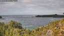 ./images/calvert/foggy-cove/20260929/foggy-cove20260929_141001M.jpg