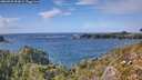 ./images/calvert/foggy-cove/20260929/foggy-cove20260929_153001M.jpg