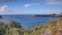 ./images/calvert/foggy-cove/20260929/foggy-cove20260929_153501M.jpg