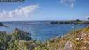 ./images/calvert/foggy-cove/20260929/foggy-cove20260929_155002M.jpg