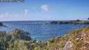 ./images/calvert/foggy-cove/20260929/foggy-cove20260929_160001M.jpg