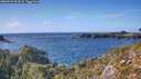 ./images/calvert/foggy-cove/20260929/foggy-cove20260929_161002M.jpg
