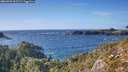 ./images/calvert/foggy-cove/20260929/foggy-cove20260929_162501M.jpg