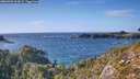 ./images/calvert/foggy-cove/20260929/foggy-cove20260929_163001M.jpg