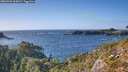 ./images/calvert/foggy-cove/20260929/foggy-cove20260929_165001M.jpg