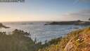 ./images/calvert/foggy-cove/20260929/foggy-cove20260929_182501M.jpg