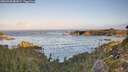 ./images/calvert/foggy-cove/20260930/foggy-cove20260930_082001M.jpg