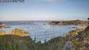 ./images/calvert/foggy-cove/20260930/foggy-cove20260930_084501M.jpg