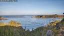 ./images/calvert/foggy-cove/20260930/foggy-cove20260930_085001M.jpg
